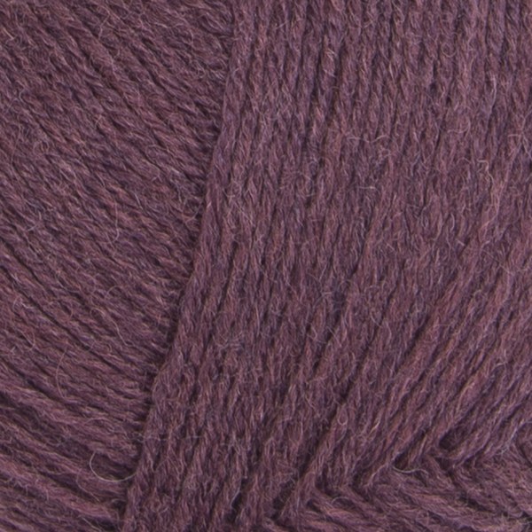 4624 close-up