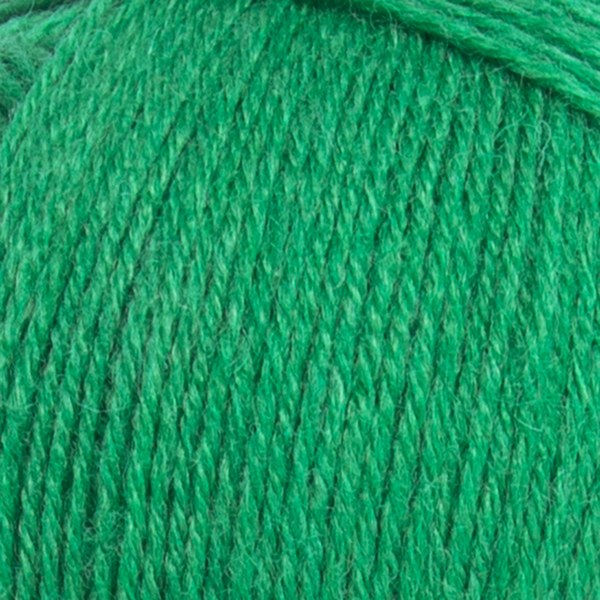 4628 close-up