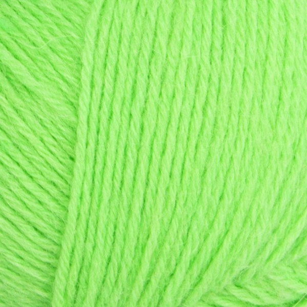 4629 close-up