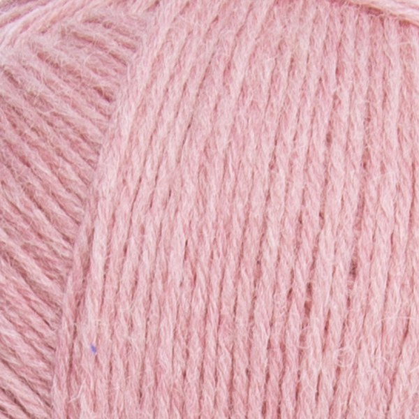 4636 close-up