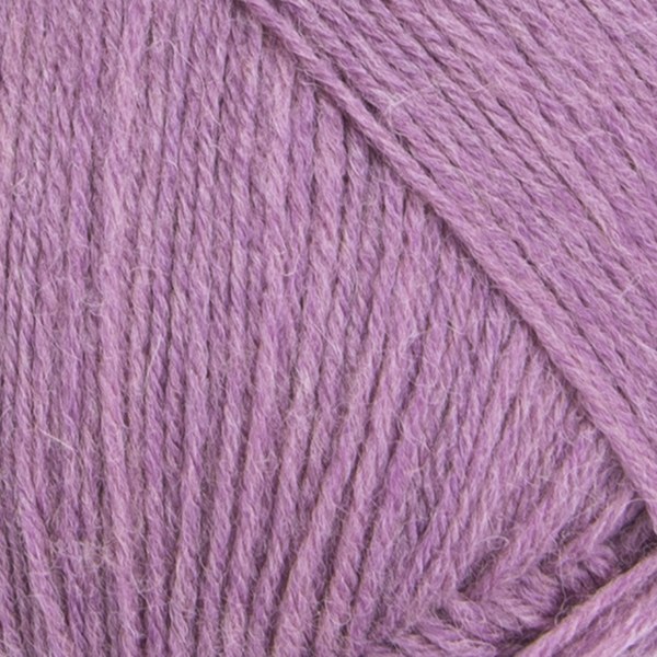4637 close-up