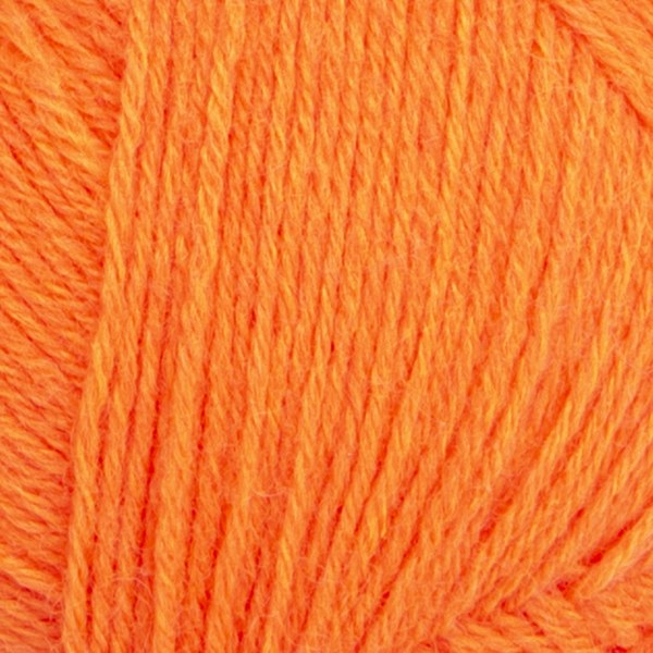 4643 close-up
