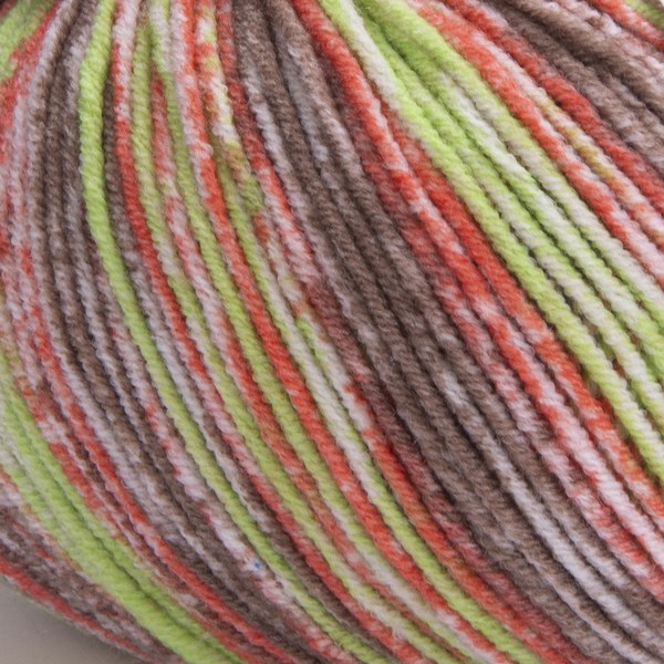 955 close-up