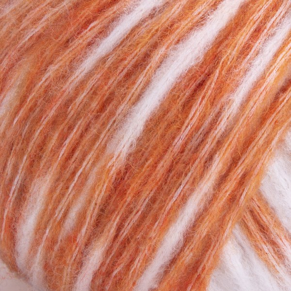 2903 close-up