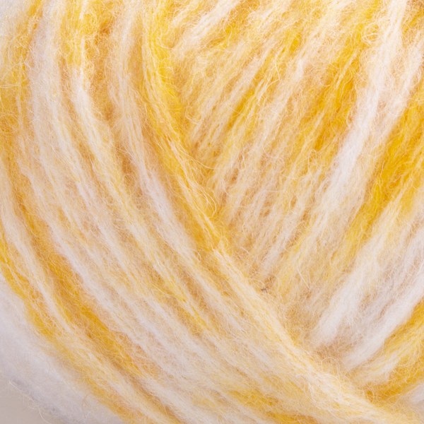 2910 close-up