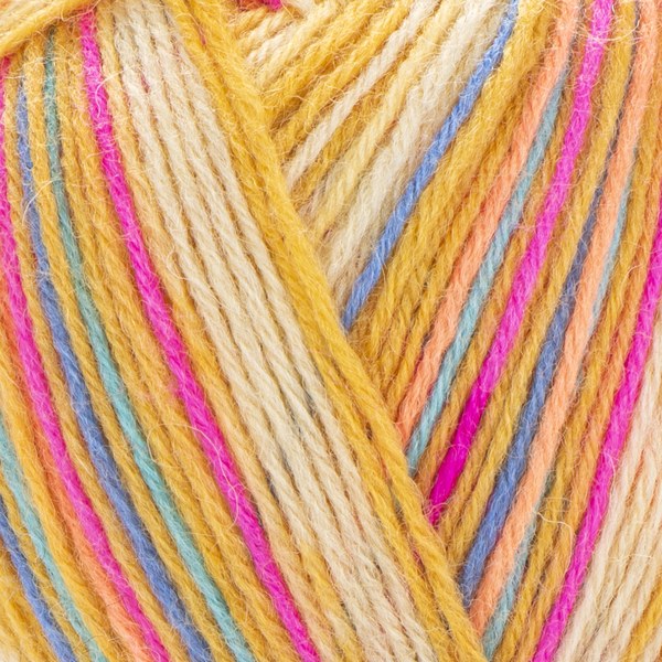 2704 close-up