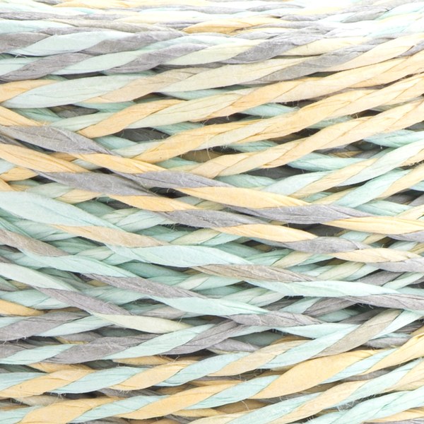 2306 close-up