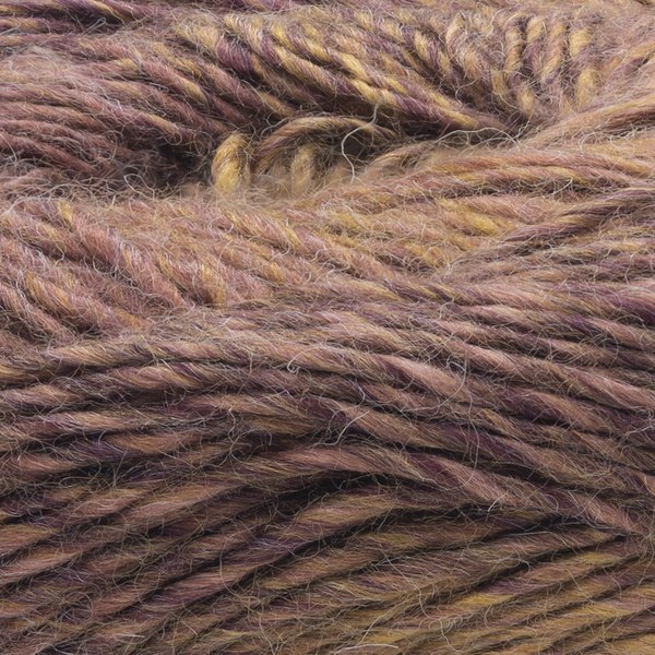 5309 close-up