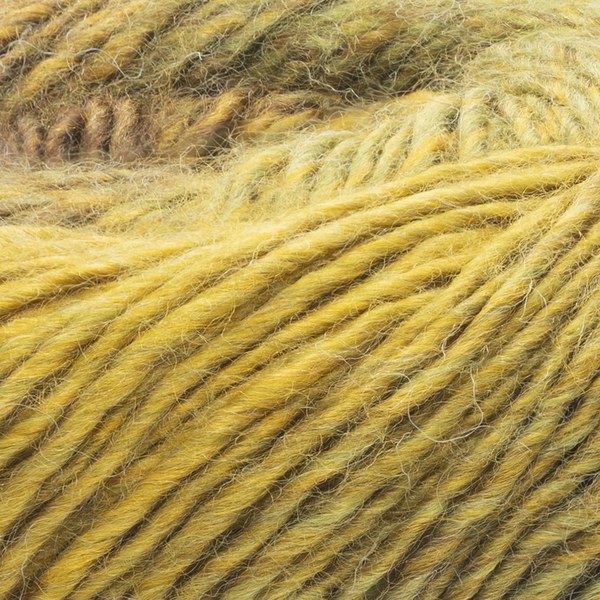 5316 close-up