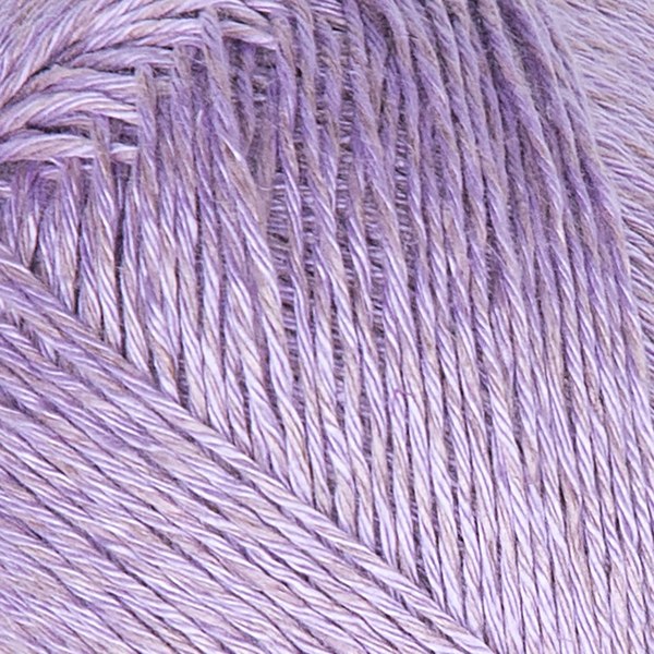 4111 close-up
