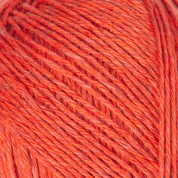 4113 close-up