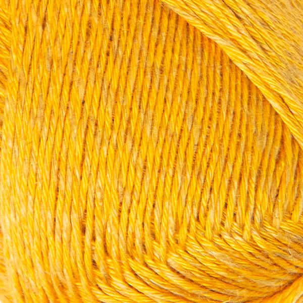 4117 close-up