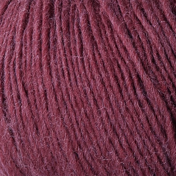 6623 close-up
