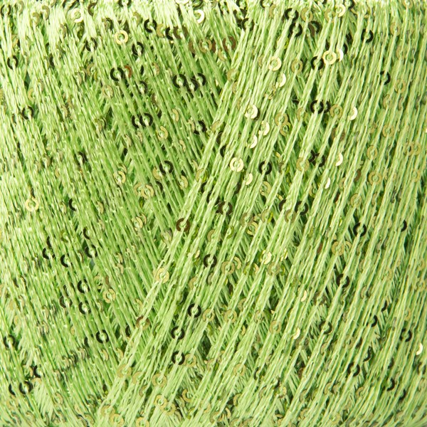 5817 close-up