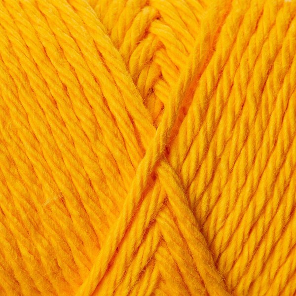 5509 close-up