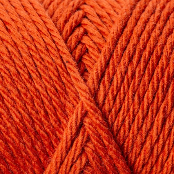 5528 close-up
