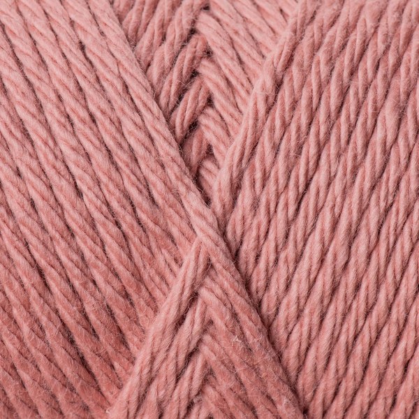 5533 close-up