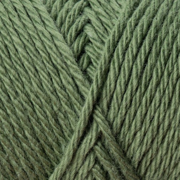 5553 close-up