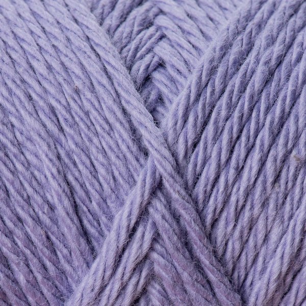 5585 close-up