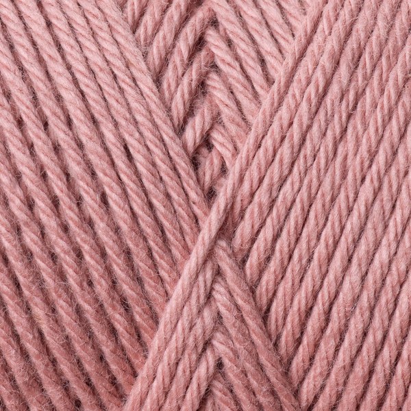 5533 close-up
