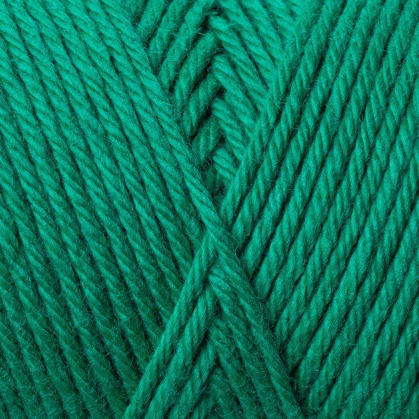 5551 close-up