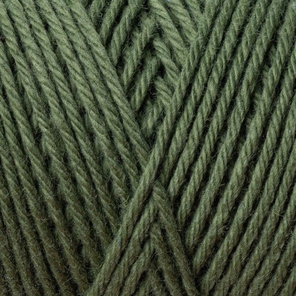 5553 close-up