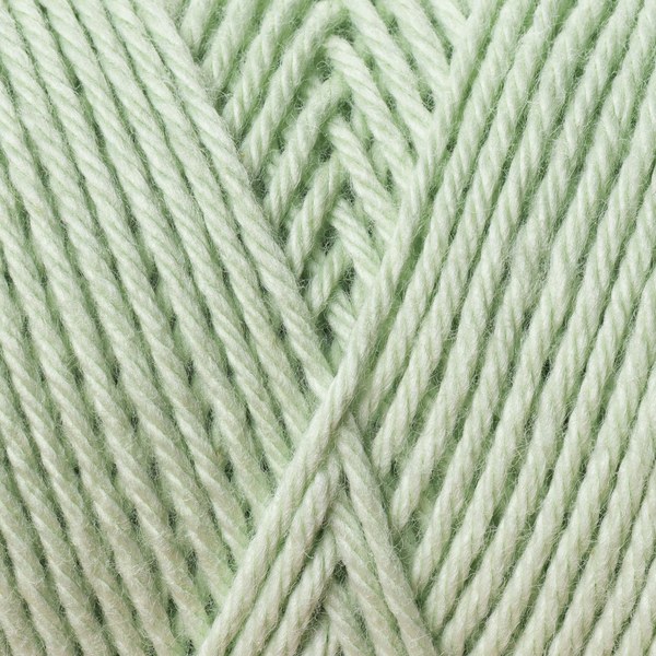 5560 close-up
