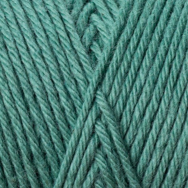 5569 close-up