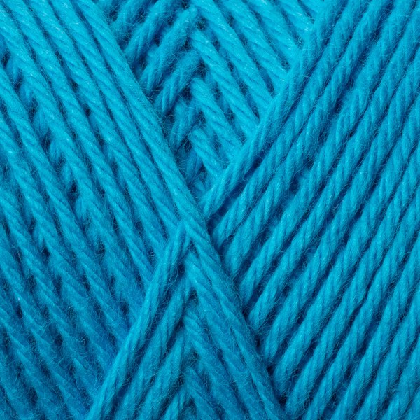 5580 close-up