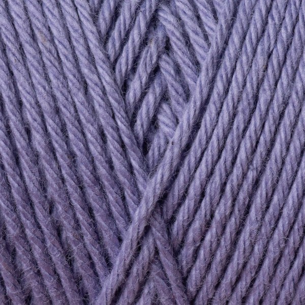5585 close-up